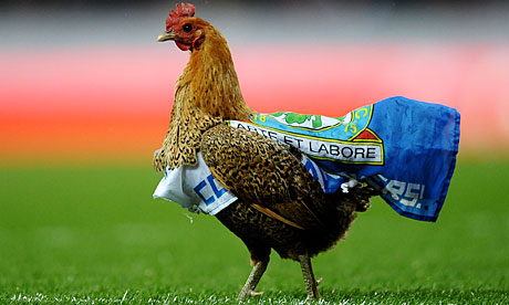 Rovers Chicken