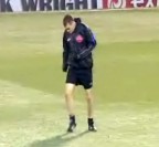 Pitch Inspection