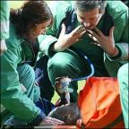 BBC (c) Cisse injury
