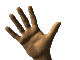 Hand Wave