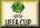 UEFA Cup